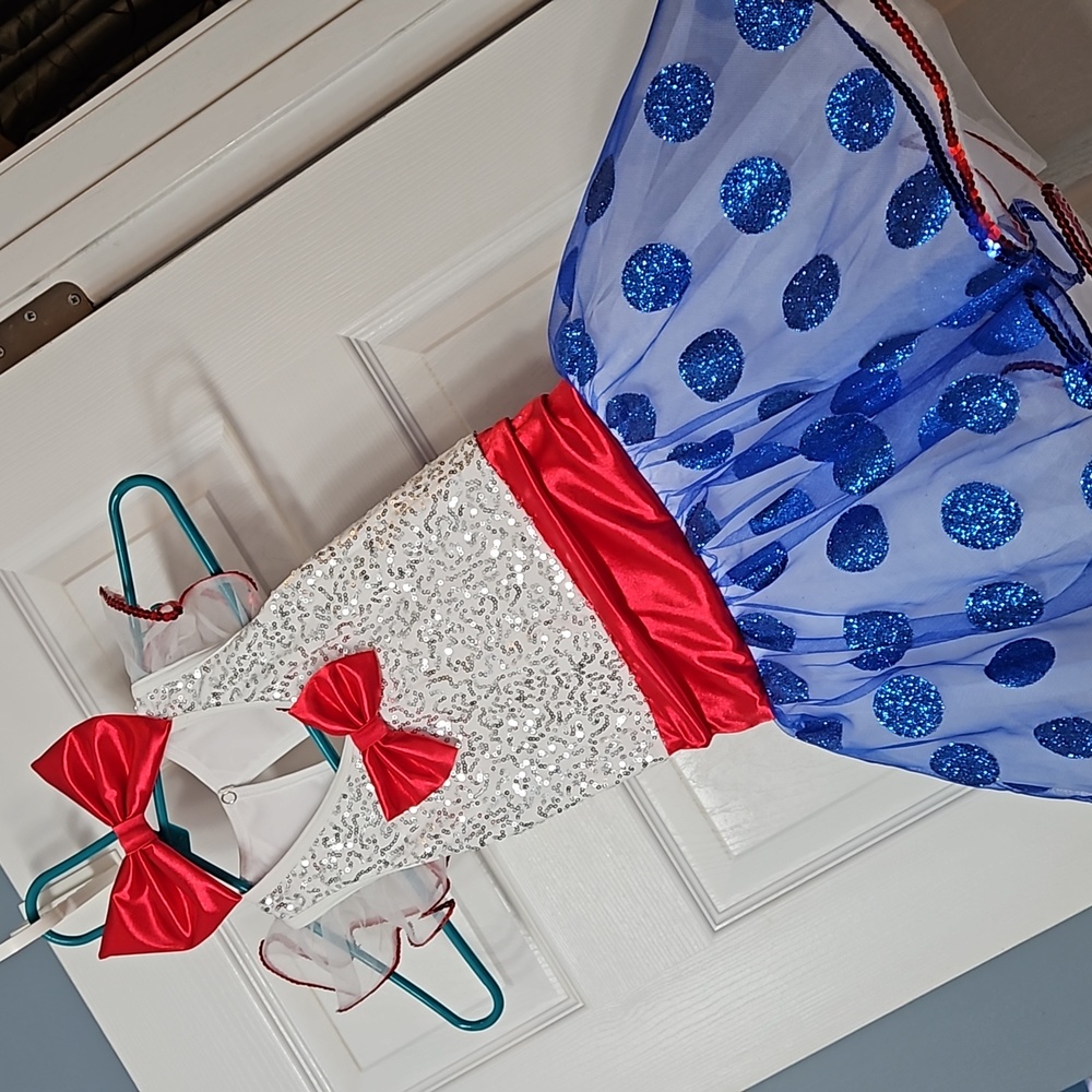 Dance outfit or costume size 10/12